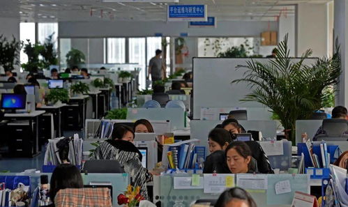 經(jīng)開區(qū)重點服務業(yè)增速持續(xù)加快 以信息技術咨詢服務為引擎